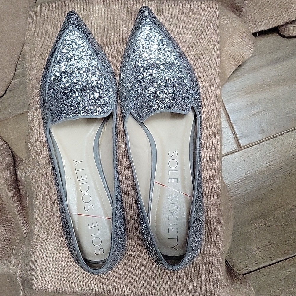 Women's Sparkling Silver Pointed Loafer